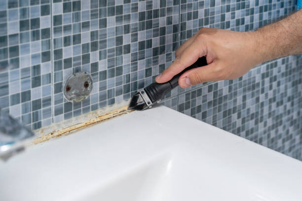 Best Mold Testing  in Fredonia, AZ